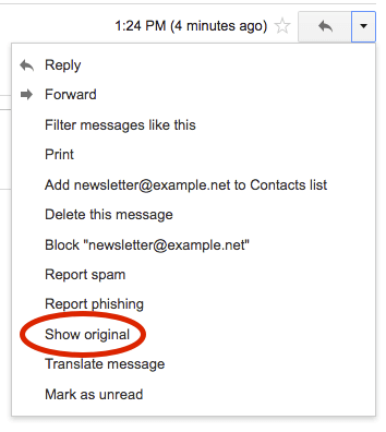 Google Web Mail Interface - Show Original